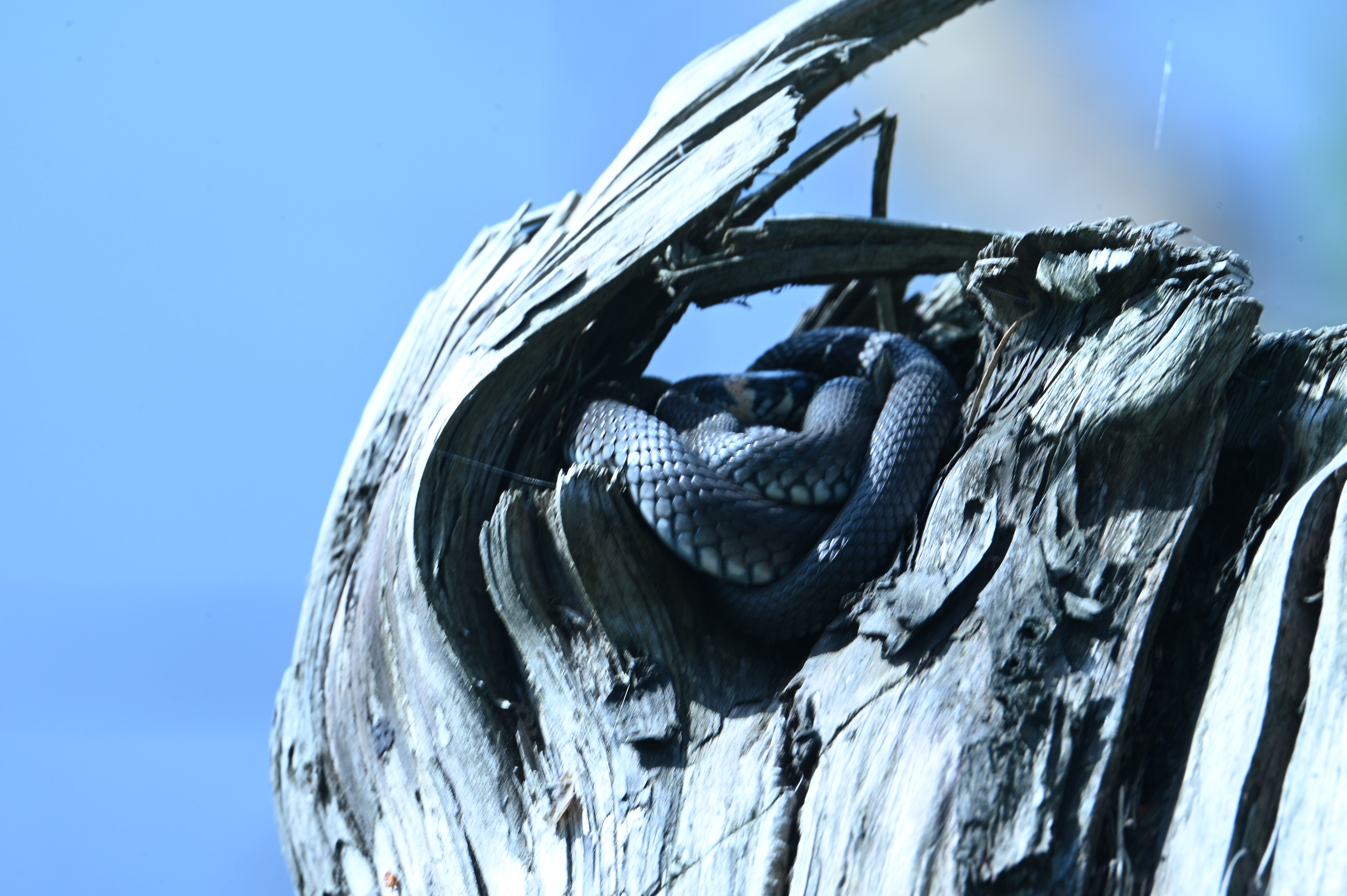 2025/07/09-14 - trip/DSC_0501.JPG